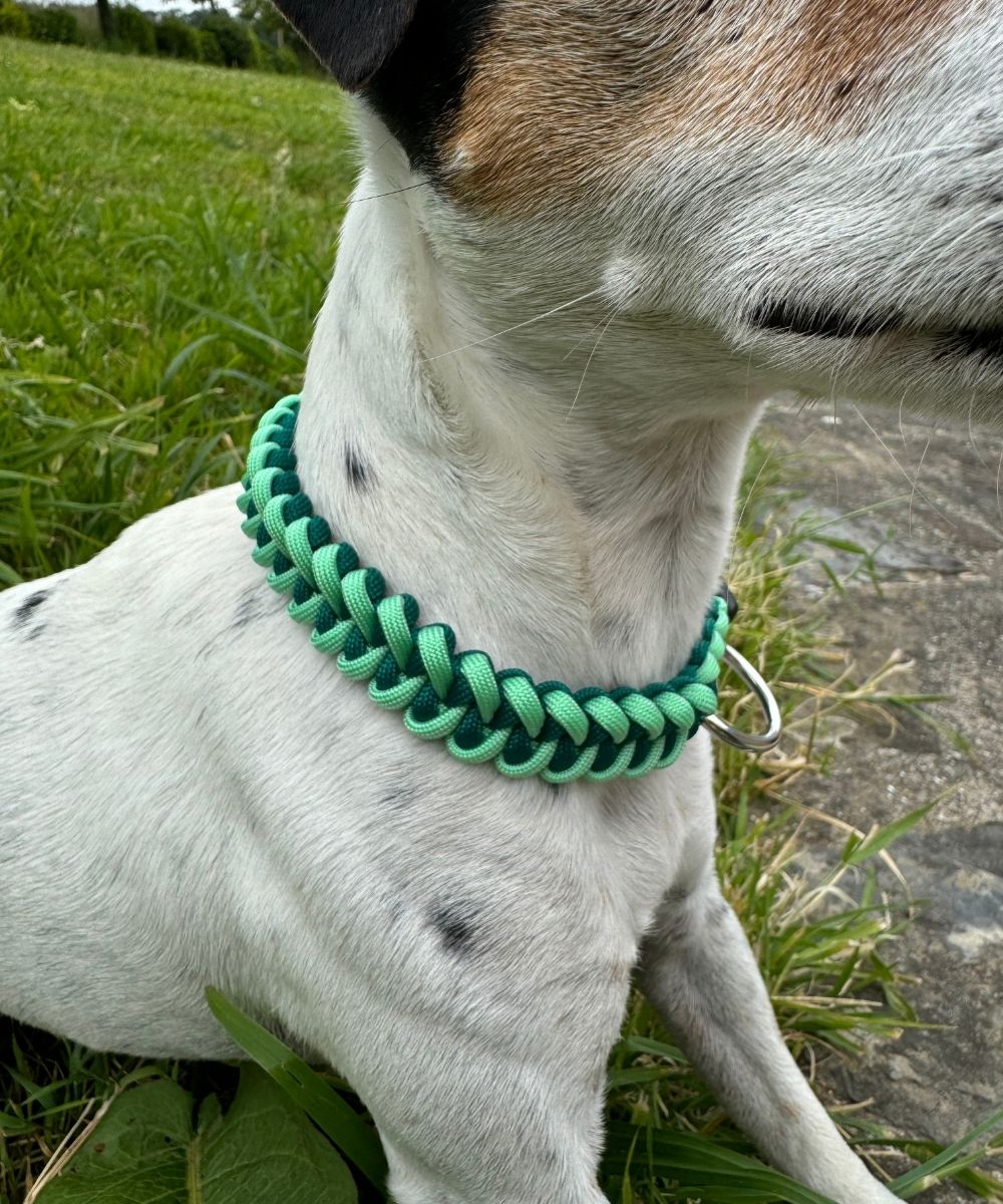 Dark mint - Colliers paracorde chien - sharkJaw