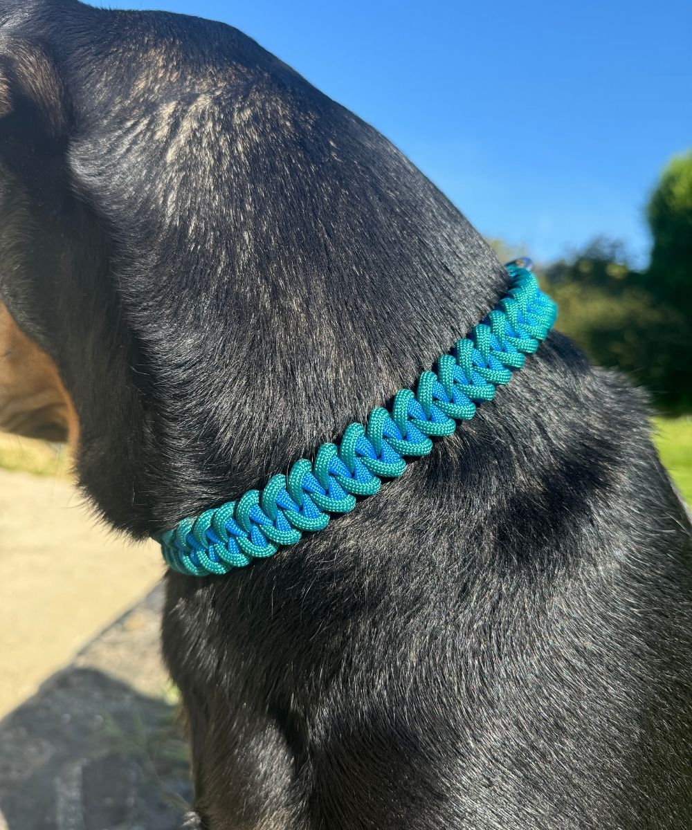 Berry beautiful - Dog paracord collars - sharkJaw