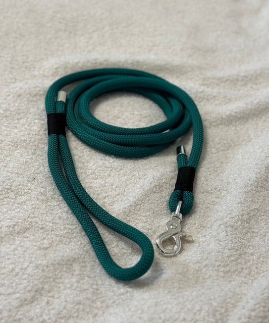 Green Seawood | Paracord leash for dogs