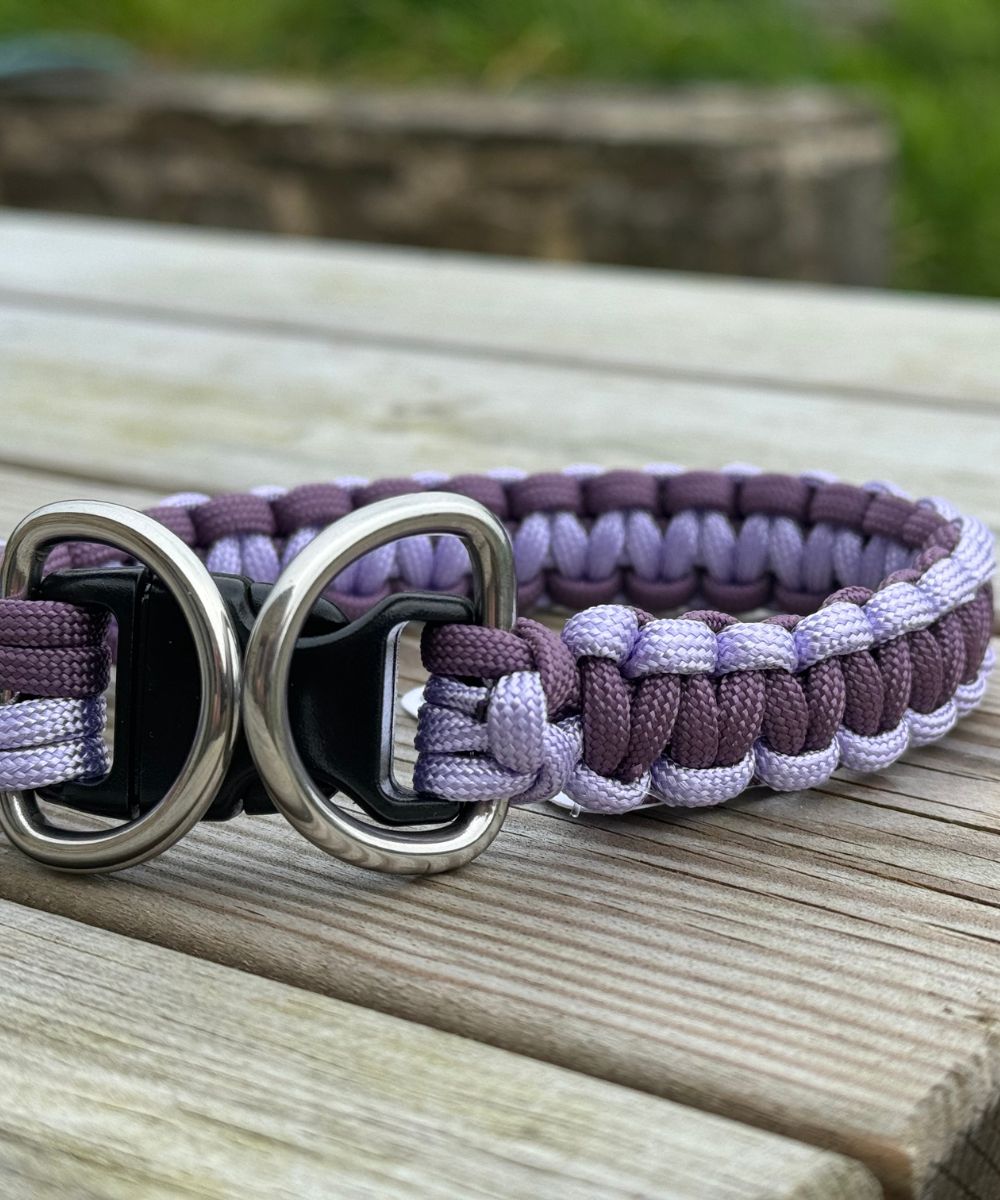 Lavender lane - Colliers paracorde chien - Cobra