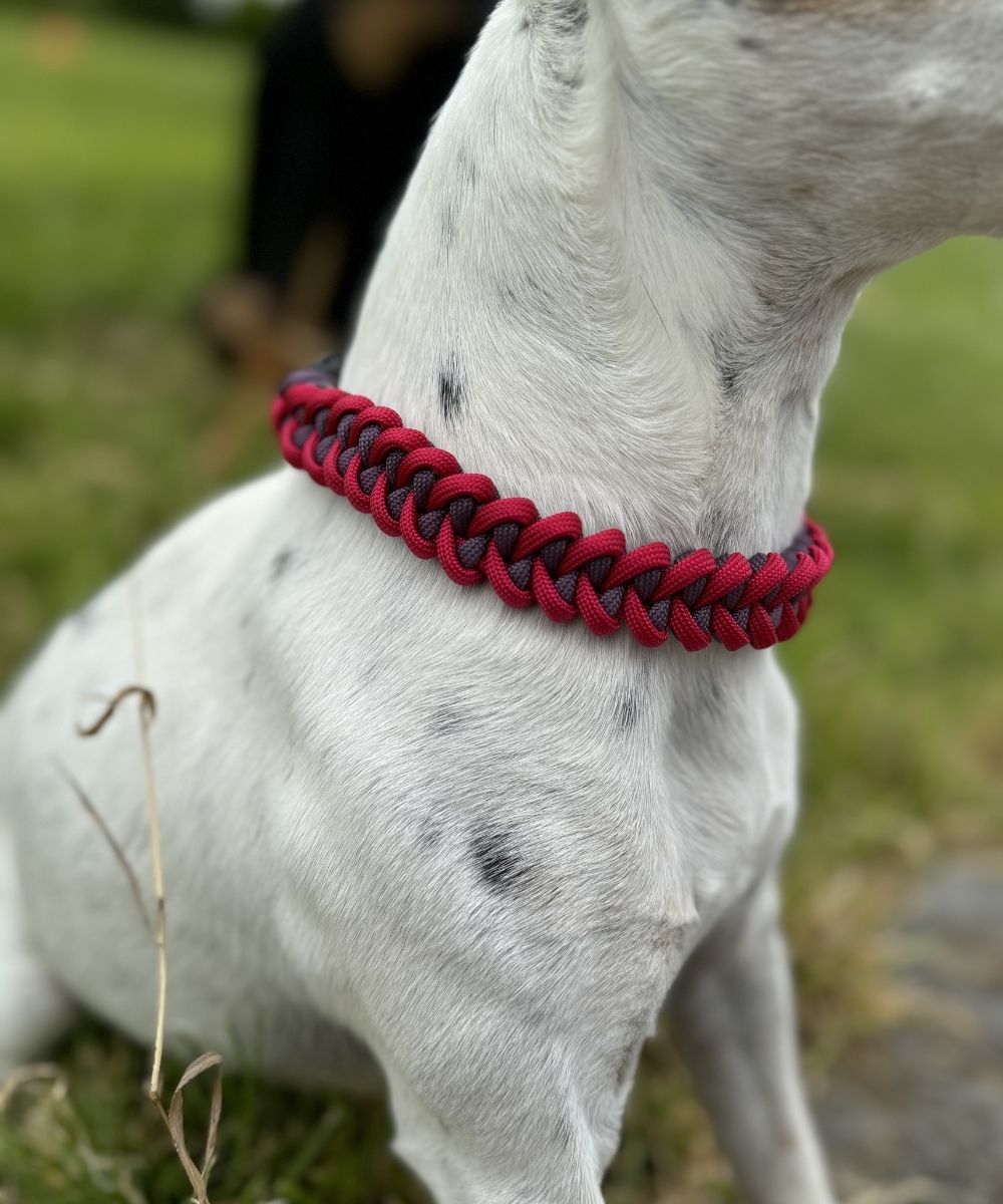 Lyna - Colliers paracorde chien - sharkJaw