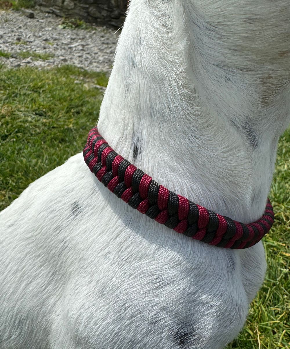 Berry beautiful - Dog paracord collars - sharkJaw