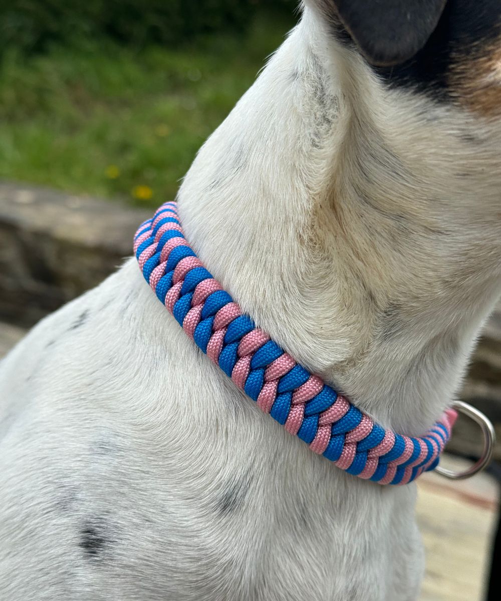 Berry beautiful - Dog paracord collars - sharkJaw